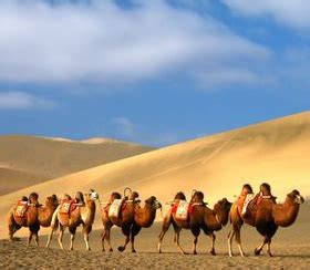 Xinjiang Regional Museum: Unraveling the Mysteries of Ancient Silk Road Cultures!